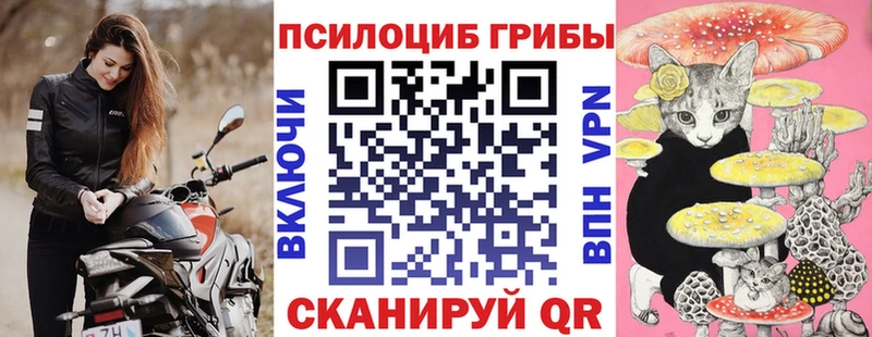 Галлюциногенные грибы Psilocybe даркнет сайт Зверево
