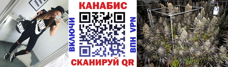 наркотики  кракен сайт  Бошки Шишки THC 21%  Зверево 
